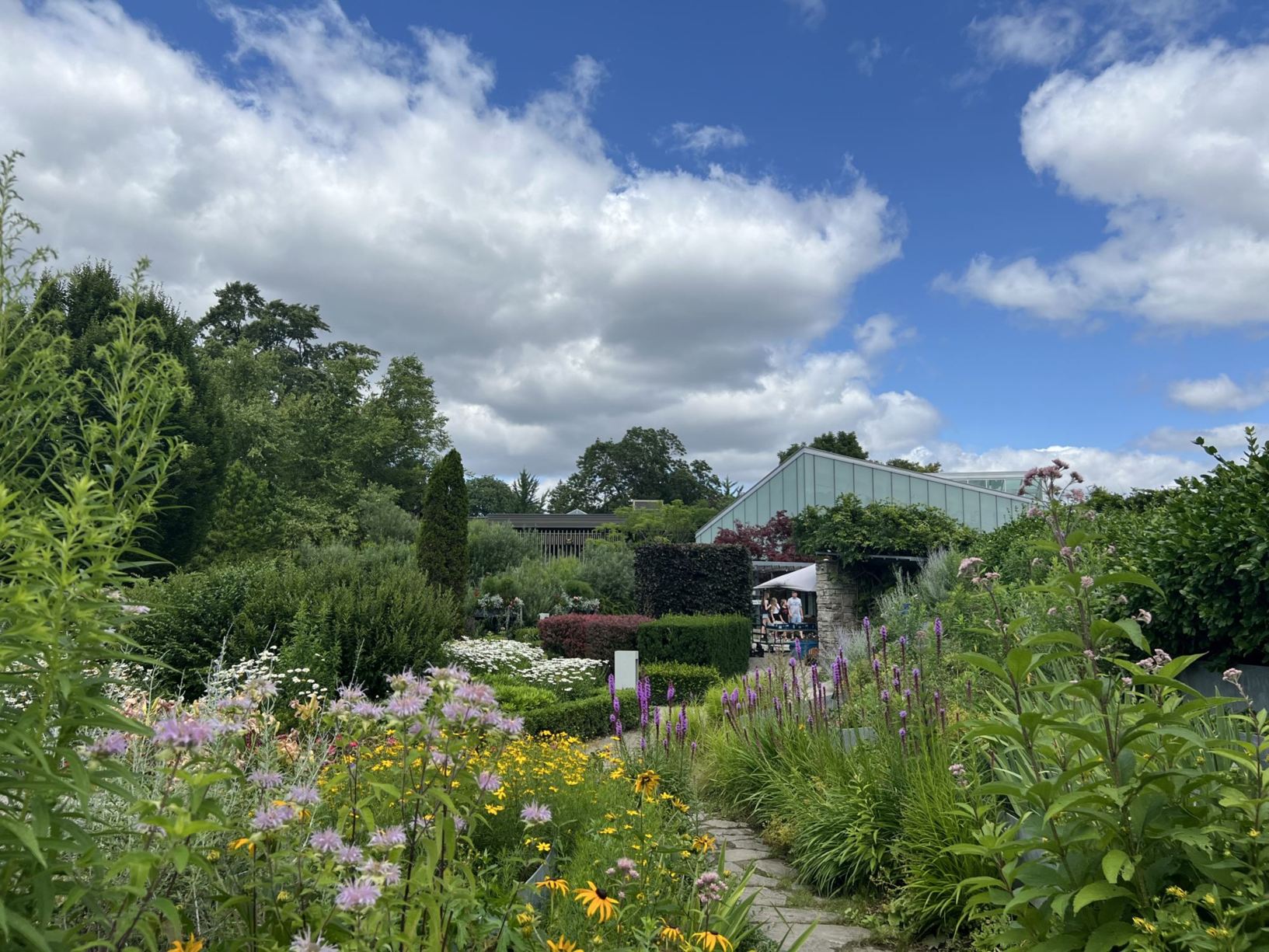 [Welcome image: Upload from IrisBG]